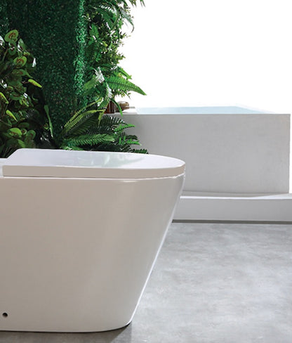 VRB California Close Coupled Round Closed Back Rimless Toilet